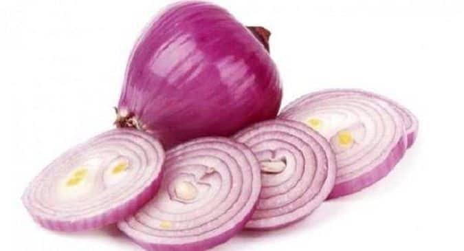 Salmonella Bacteria Forms on Raw Onion 