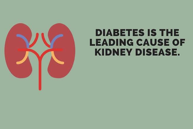Diabetes: impacts on Kidney functions