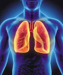 Health: breath exercise to keep your lungs healthy