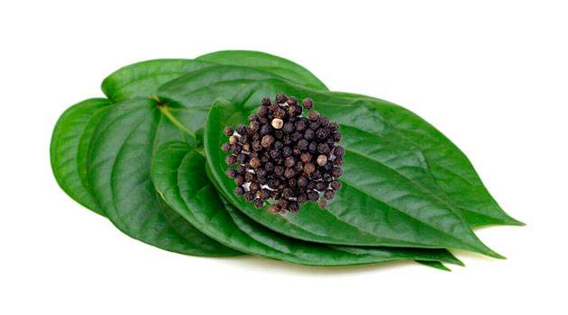 Betel Leaf: And Black Papper To check Weight loss 
