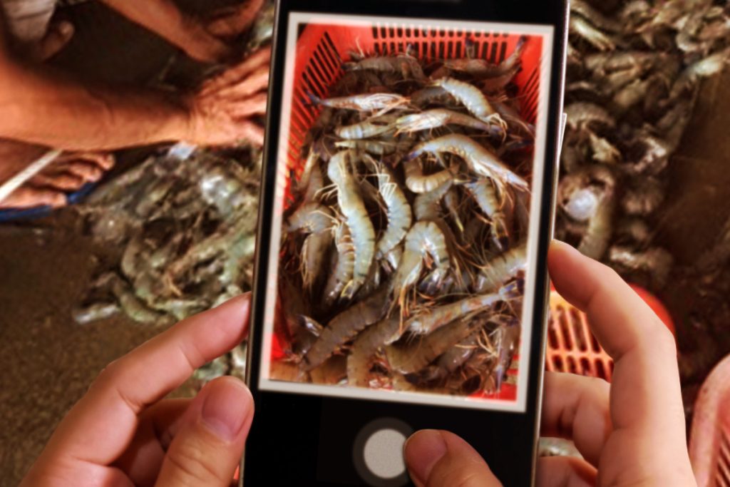 Budget 2022: Shrimp Fish Farmers Letter 