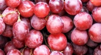 Red Grapes: ఈ కలర్ ద్రాక్ష పండ్లు తింటే ఈ సమస్యలు దూరం..!!