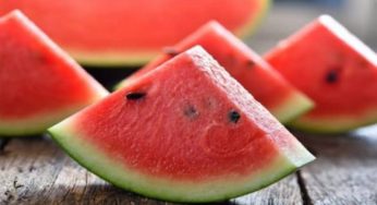 Watermelon Seeds: పుచ్చకాయ తిని విత్తనాలు పారేసే వారు ఒకసారి ఇది చదవండి..!!