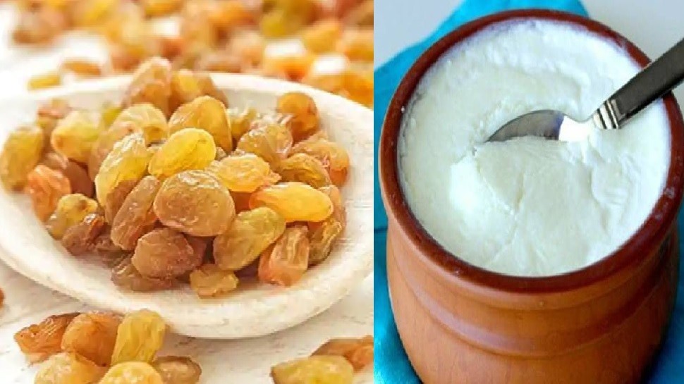 Raisins with Jaggery And Curd to check Weight Loss: 