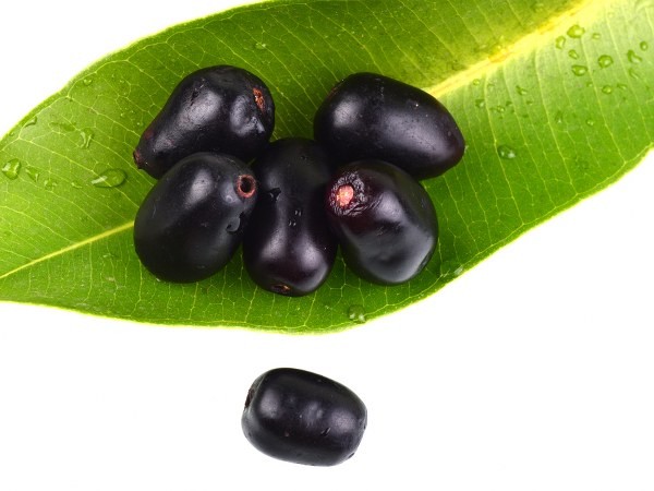 Excellent Health Benefits of Jamun Leaves: