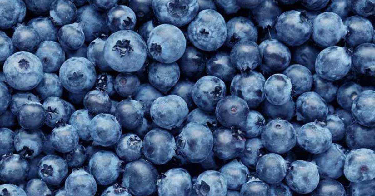 Blue berries Improves Brain Power: 