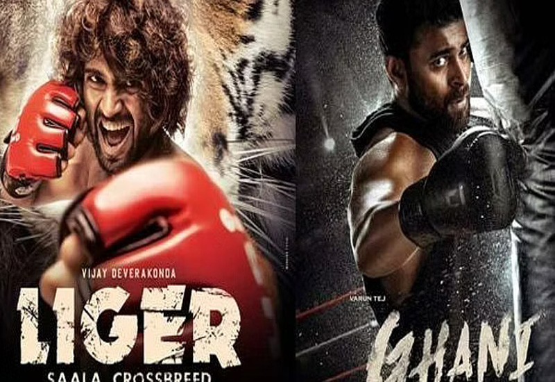 doubts raised on liger due to ghani movie