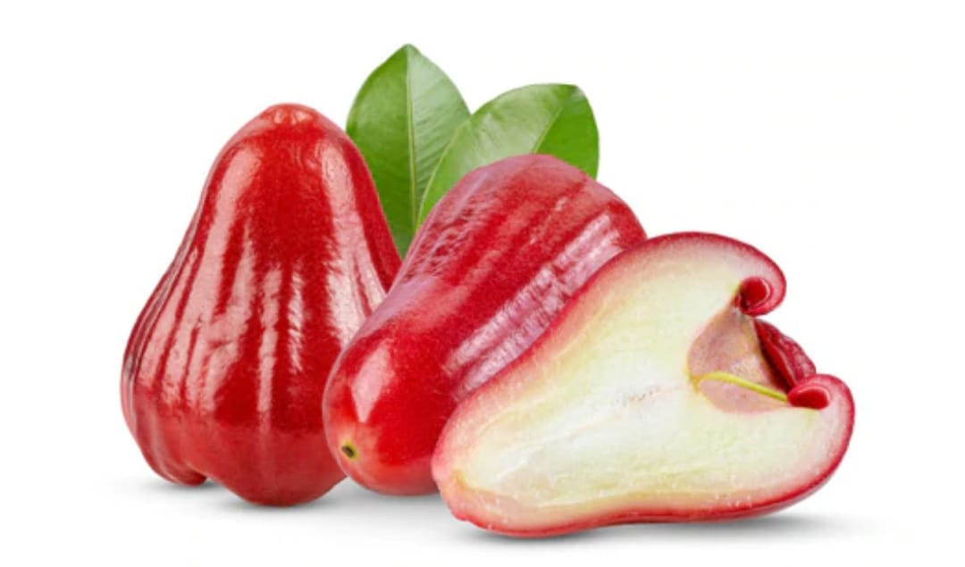 Many Health Secrets You Didn't Know About Water Apple ...!