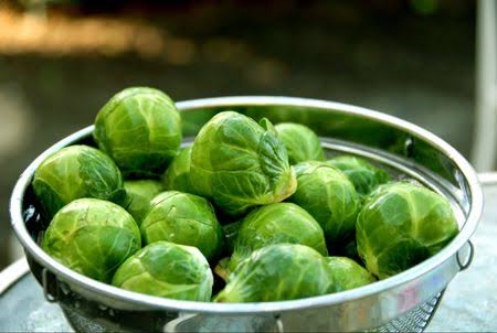 Excellent Health Benefits Of Brussels Sprouts: 
