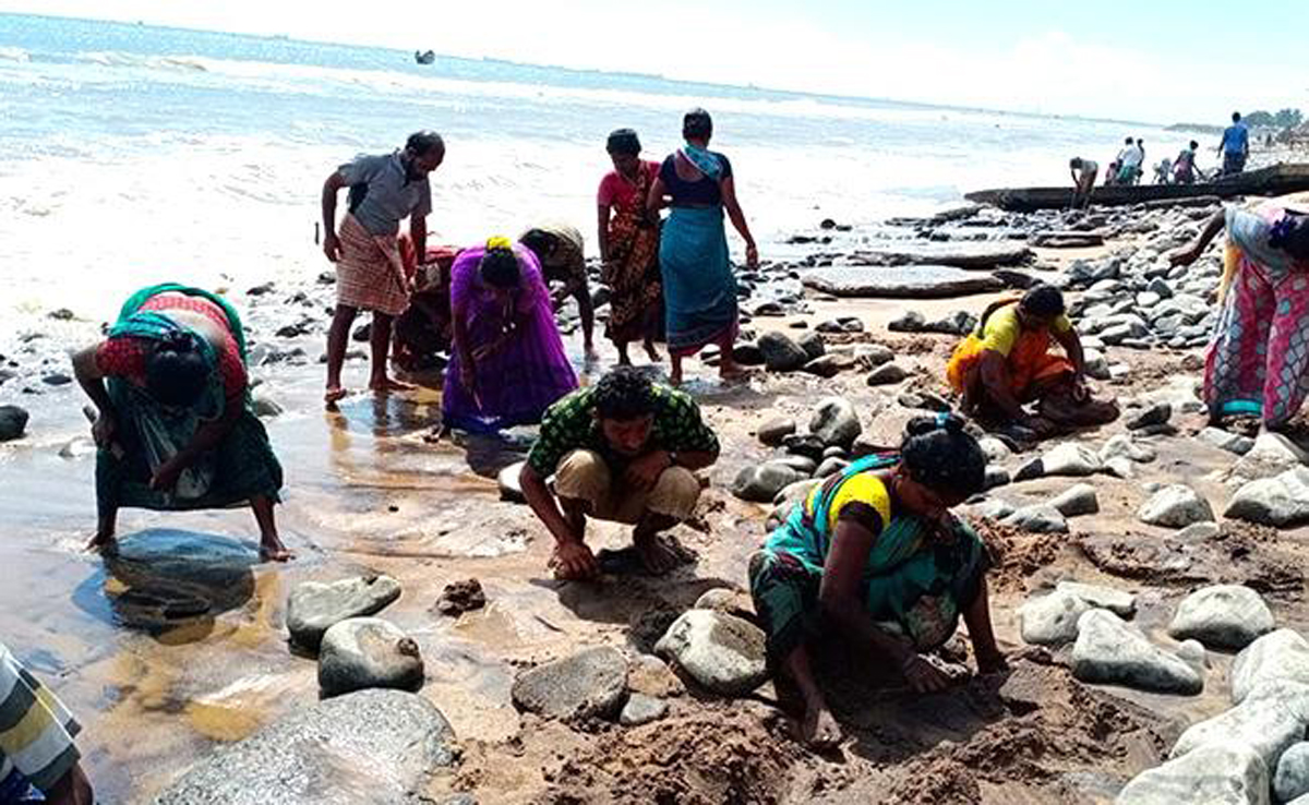 Asani Cyclone: Search for gold in Uppada beach,