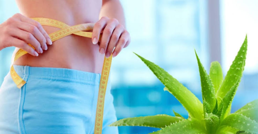If you do this with Aloe Vera, you will lose all your belly fat in a week ..!