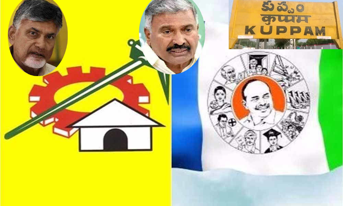 AP Minister Peddireddy Focus on Kuppam TDP