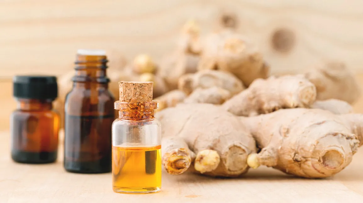 Excellent Health Benefits of Ginger Oil