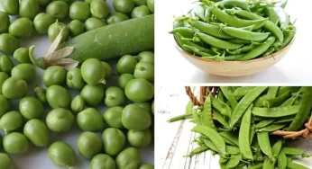 Green Peas: పచ్చి బఠాణి నీ స్కిప్ చేస్తే.. ఇవి మిస్స్ అవుతారు..!?