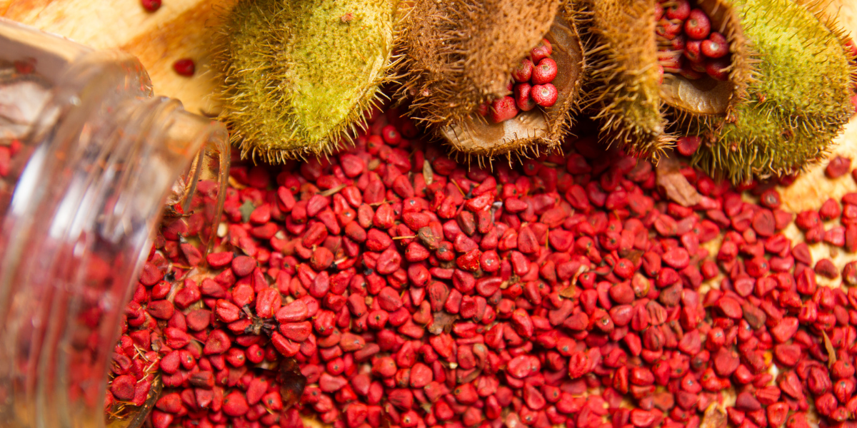 Annatto Seeds Benefits: 10 Health Benefits of Annatto Seeds
