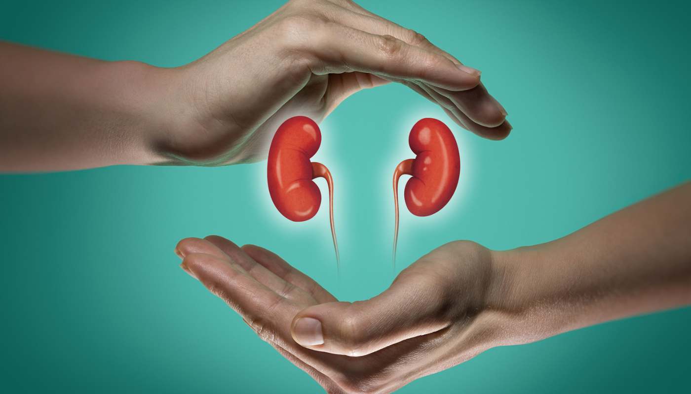 Kidney Health: Foods to eat and avoid to maintain good Kidney Health