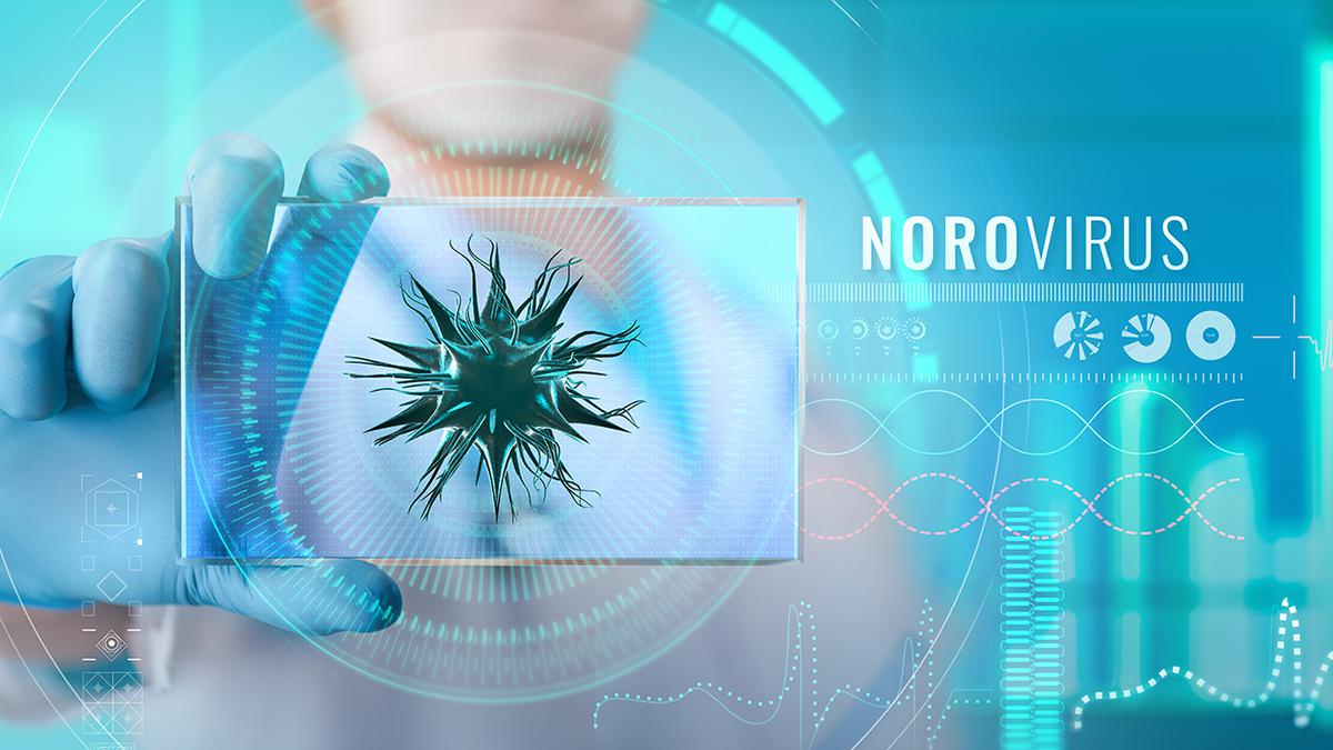 What is Norovirus? How Does it Spread? Should You Worry About the Norovirus Outbreak In Kerala? 