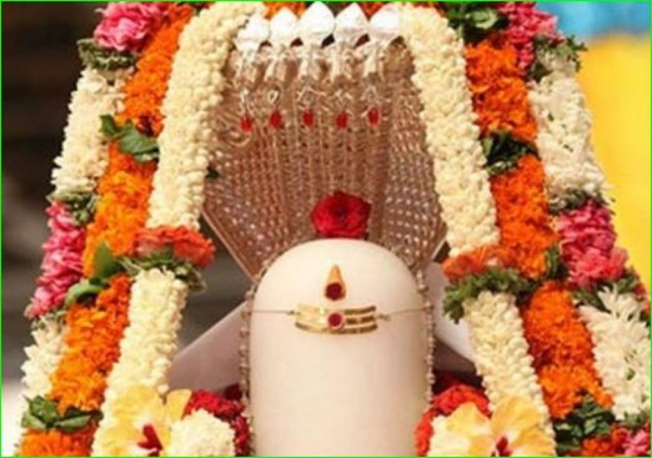 Maha Shivaratri lord shiva offered flowers 