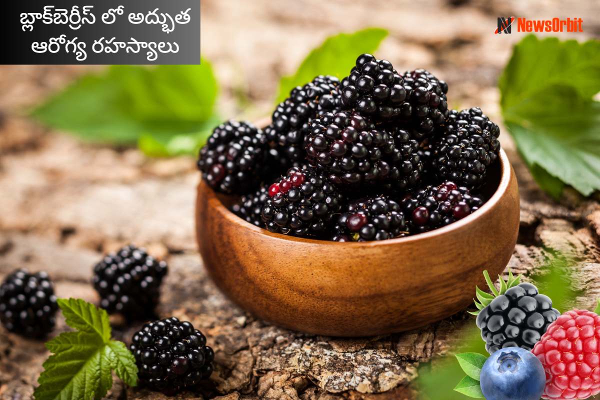 Blackberry: Excellent Health Benefits of Blackberry, Blackberries Benefits, బ్లాక్‌బెర్రీస్ ఆరోగ్య రహస్యాలు