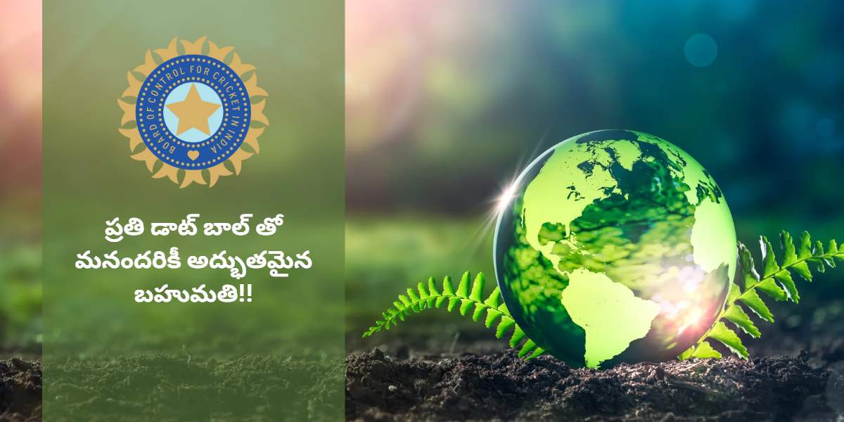 IPL Dot Ball Tree BCCI partners with Tata companies in IPL Playoffs as part of a green initiative