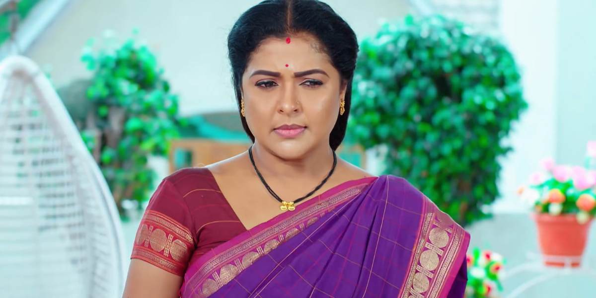 Malli Serial Today Episode July 29 2023 Episode 411 Highlights