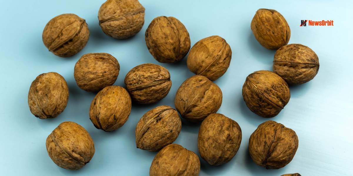 Nutmeg Jajikaya: Health Benefits Excellent Health Benefits of Nutmeg Revealed