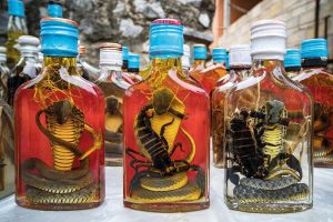 This is how snake wine is made